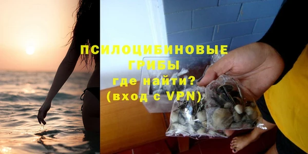 шишки Алексин