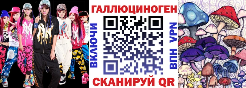 Галлюциногенные грибы Psilocybe  купить наркоту  кракен tor  Камешково 